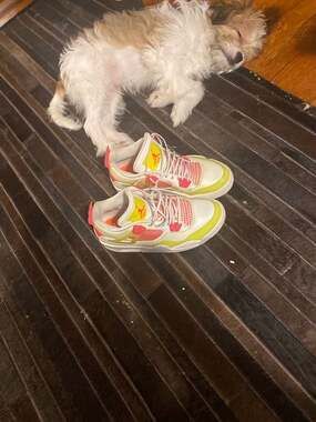 Air Jordan 4 Retro GS Lemon Venom Pink Blast White